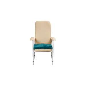 Chair Cover