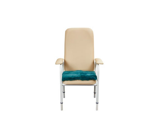 Chair Cover