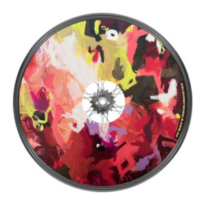 Colour My Wheels Spoke Guards – Colour Normality