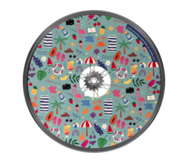 Colour My Wheels Spoke Guards – Sweet Summer