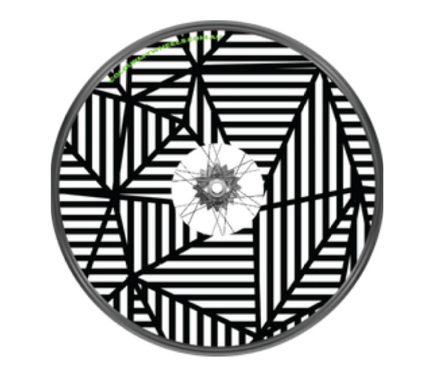 Colour My Wheels Spoke Guards – Zany Monochrome